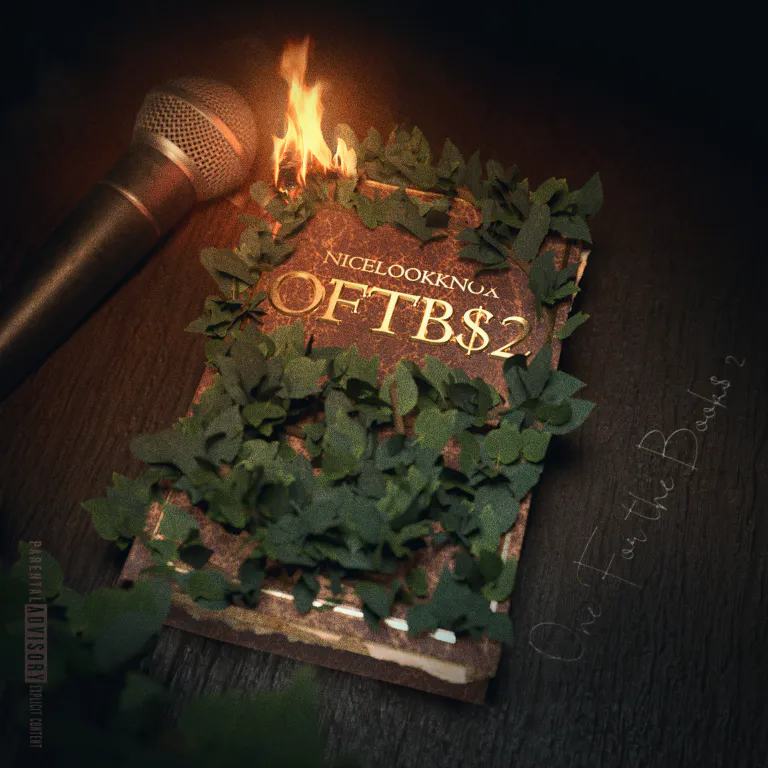 NiceLookNox - OFTBS2 - Album Cover Art